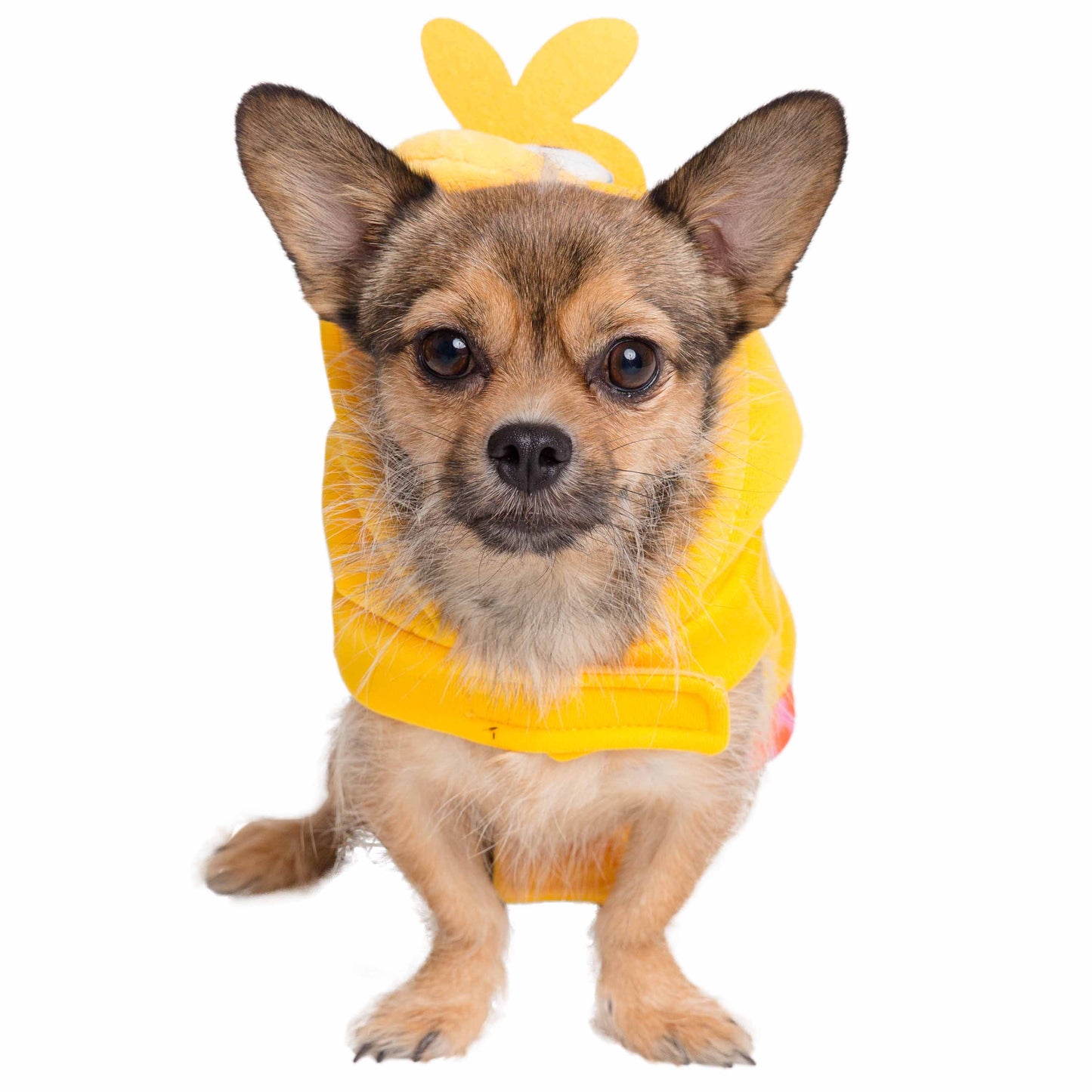 Sesame Street Big Bird Dog Hoodie