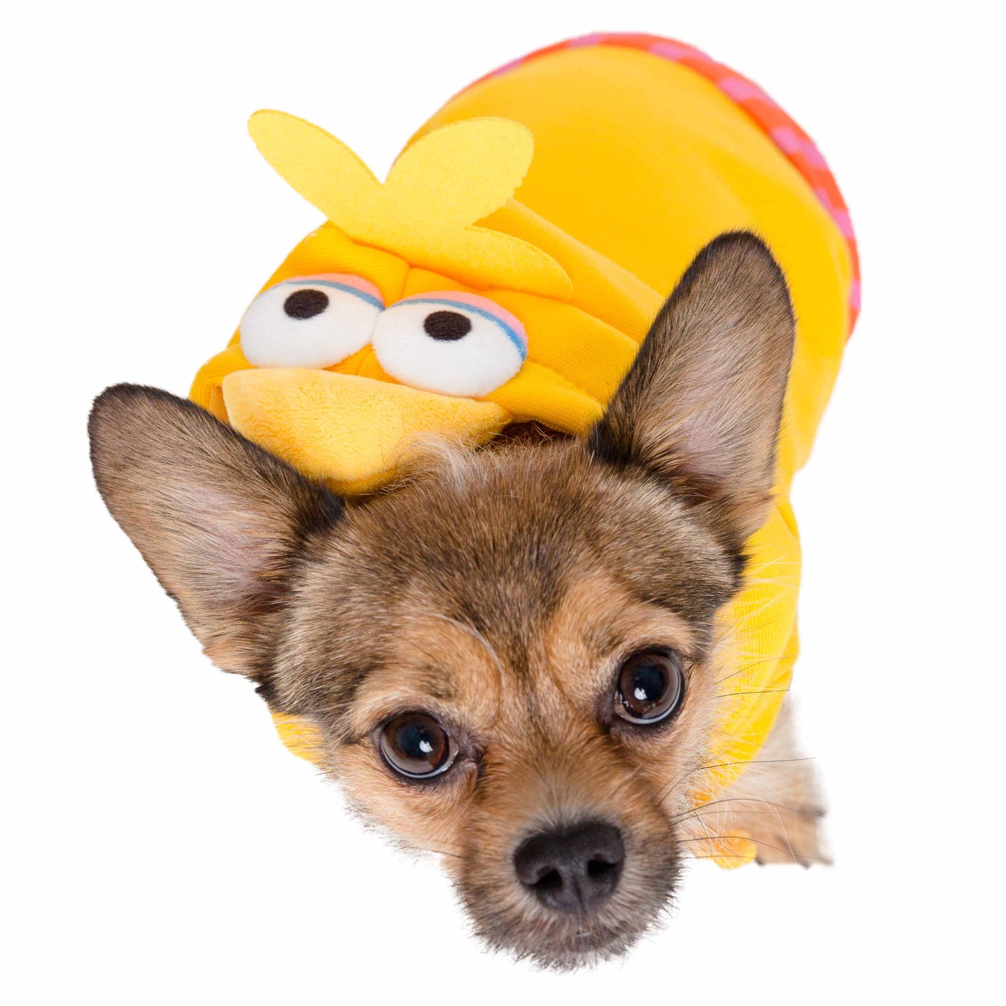 Sesame Street Big Bird Dog Hoodie