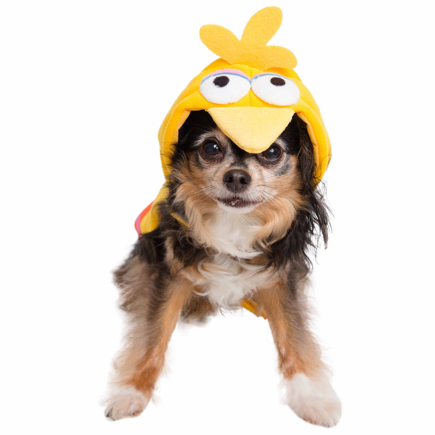 Sesame Street Big Bird Dog Hoodie