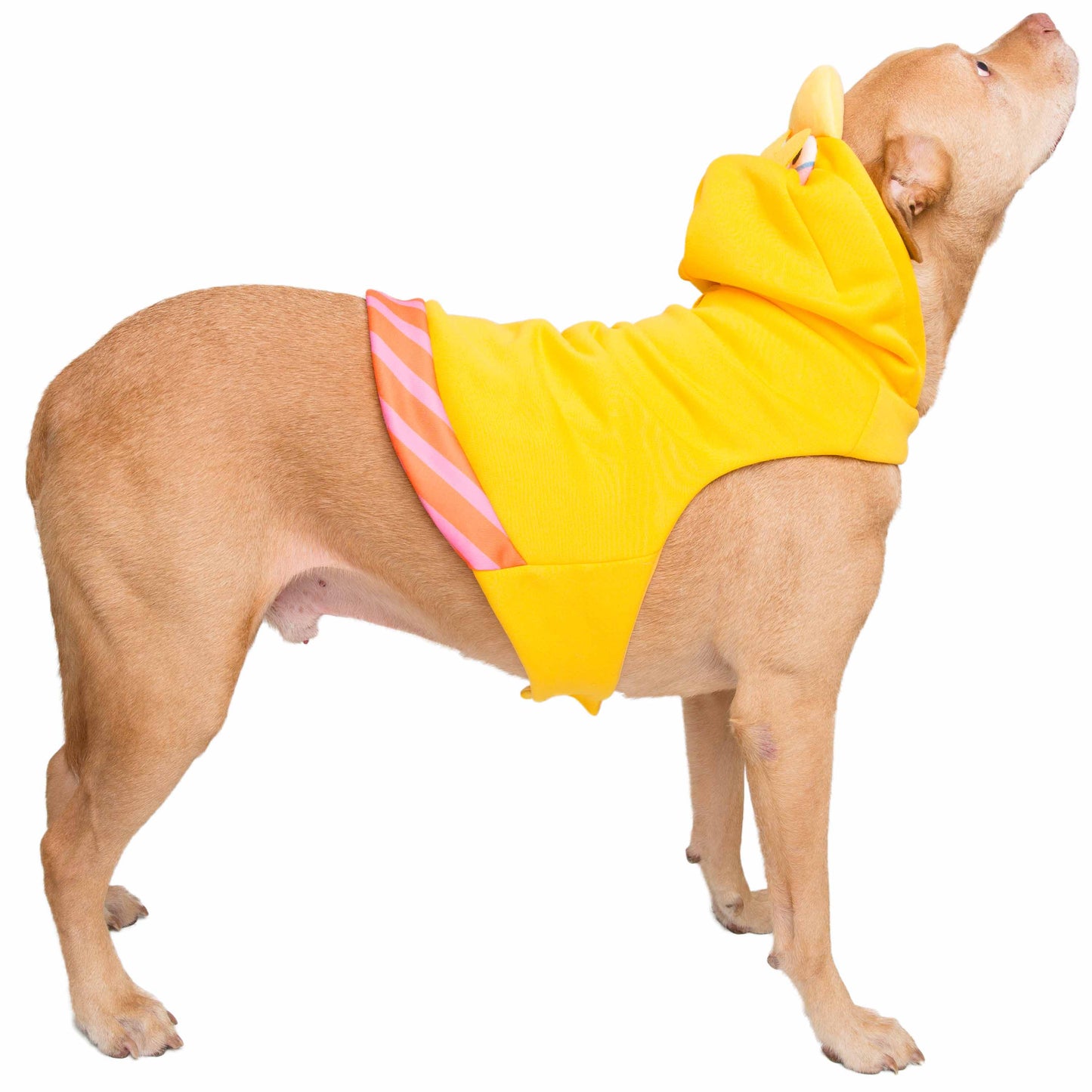 Sesame Street Big Bird Dog Hoodie
