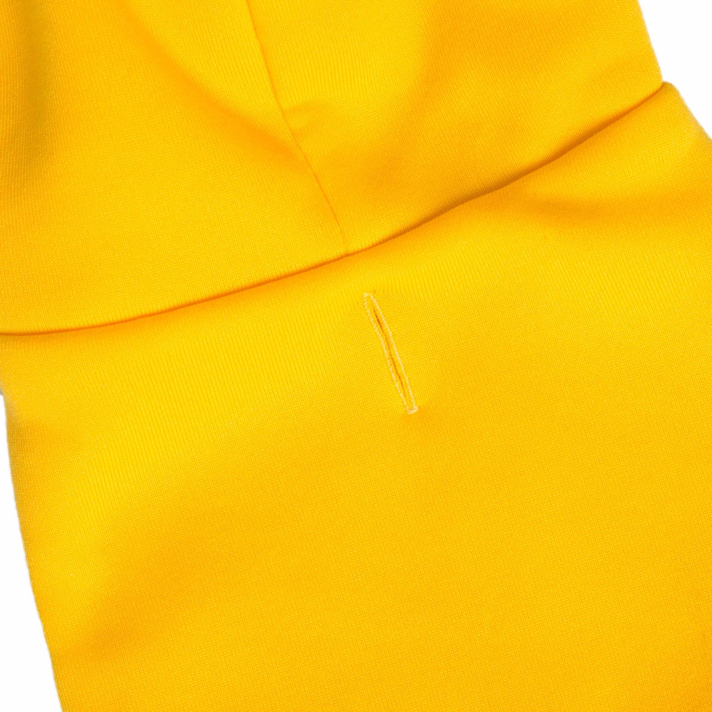 Sesame Street Big Bird Dog Hoodie