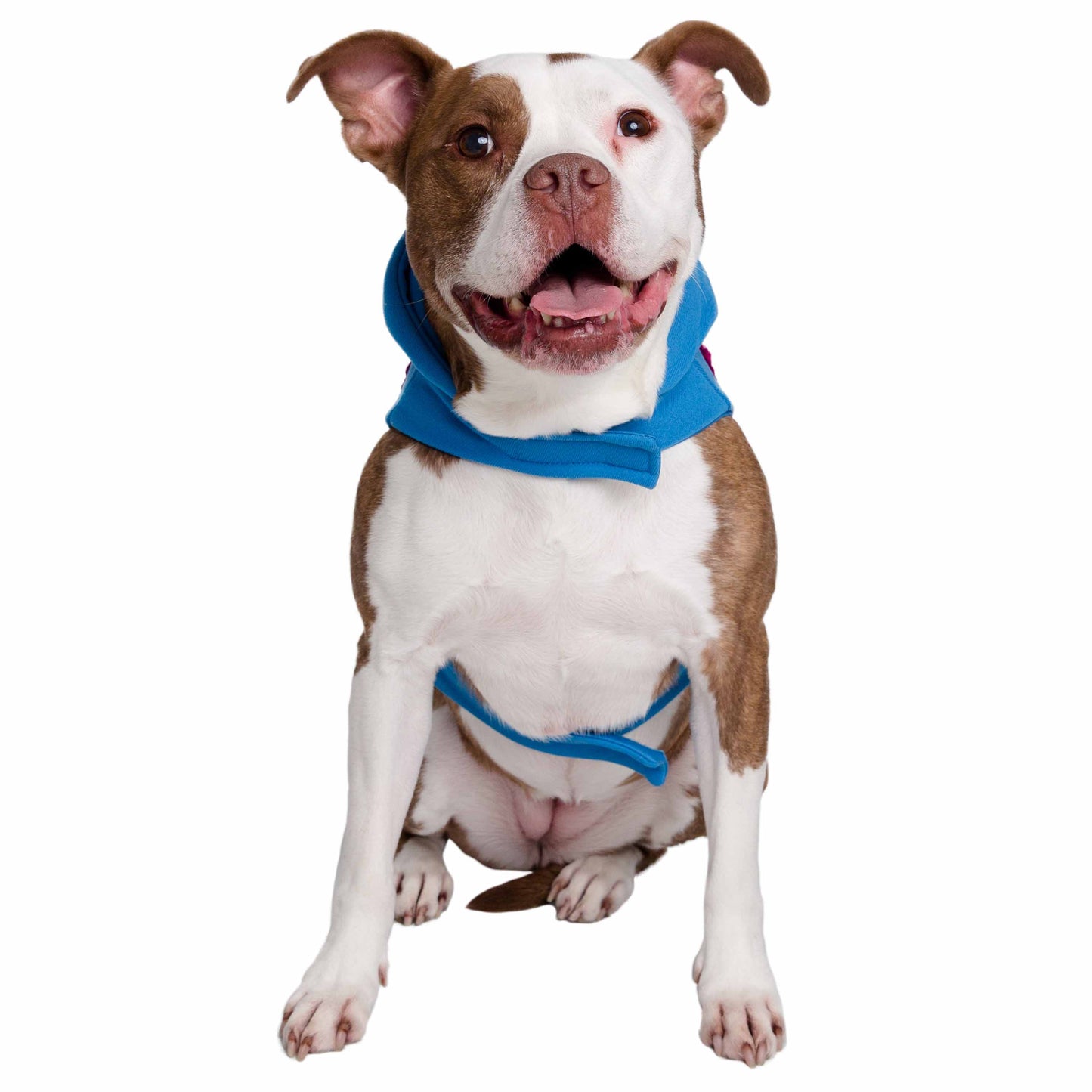 Sesame Street Super Grover Dog Hoodie