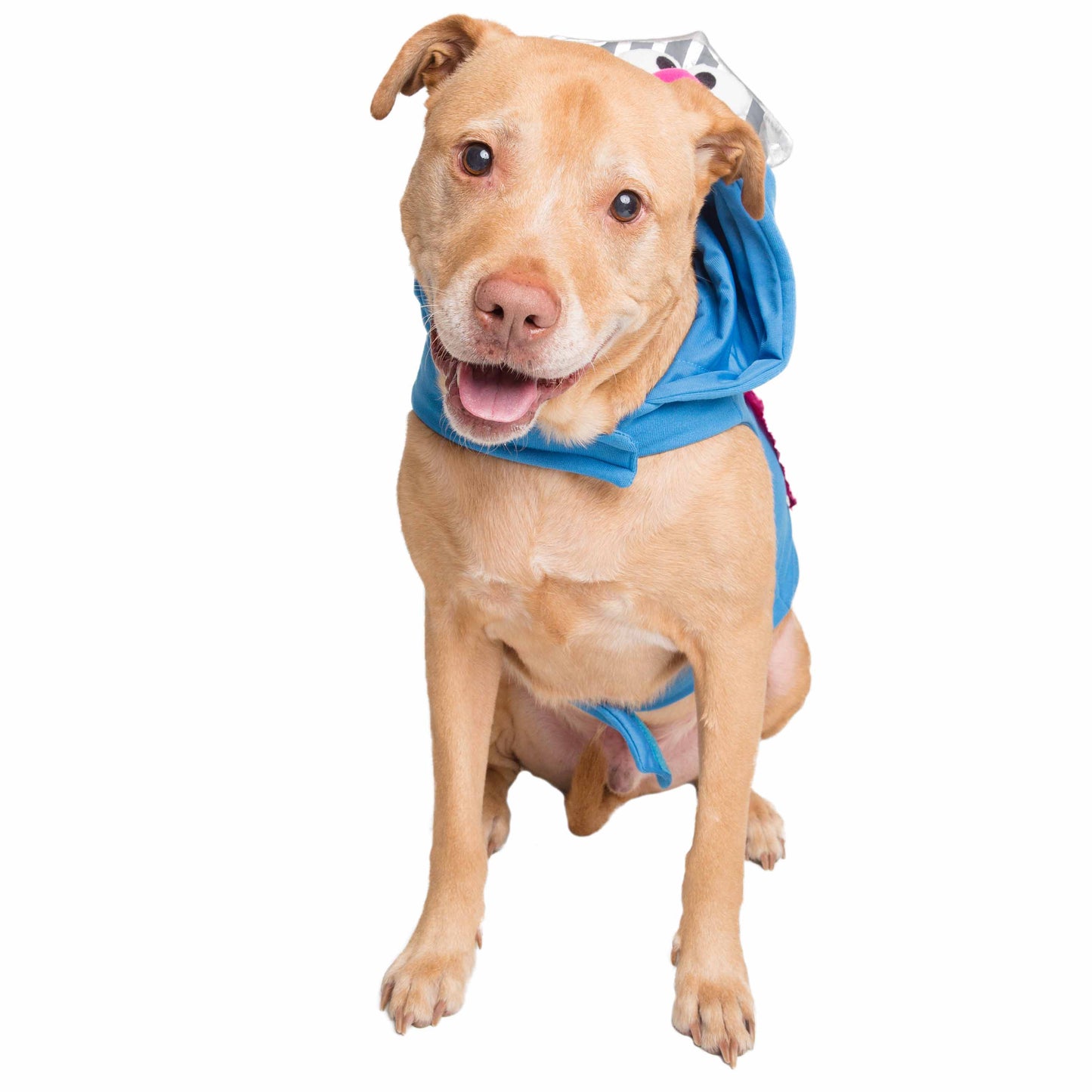 Sesame Street Super Grover Dog Hoodie