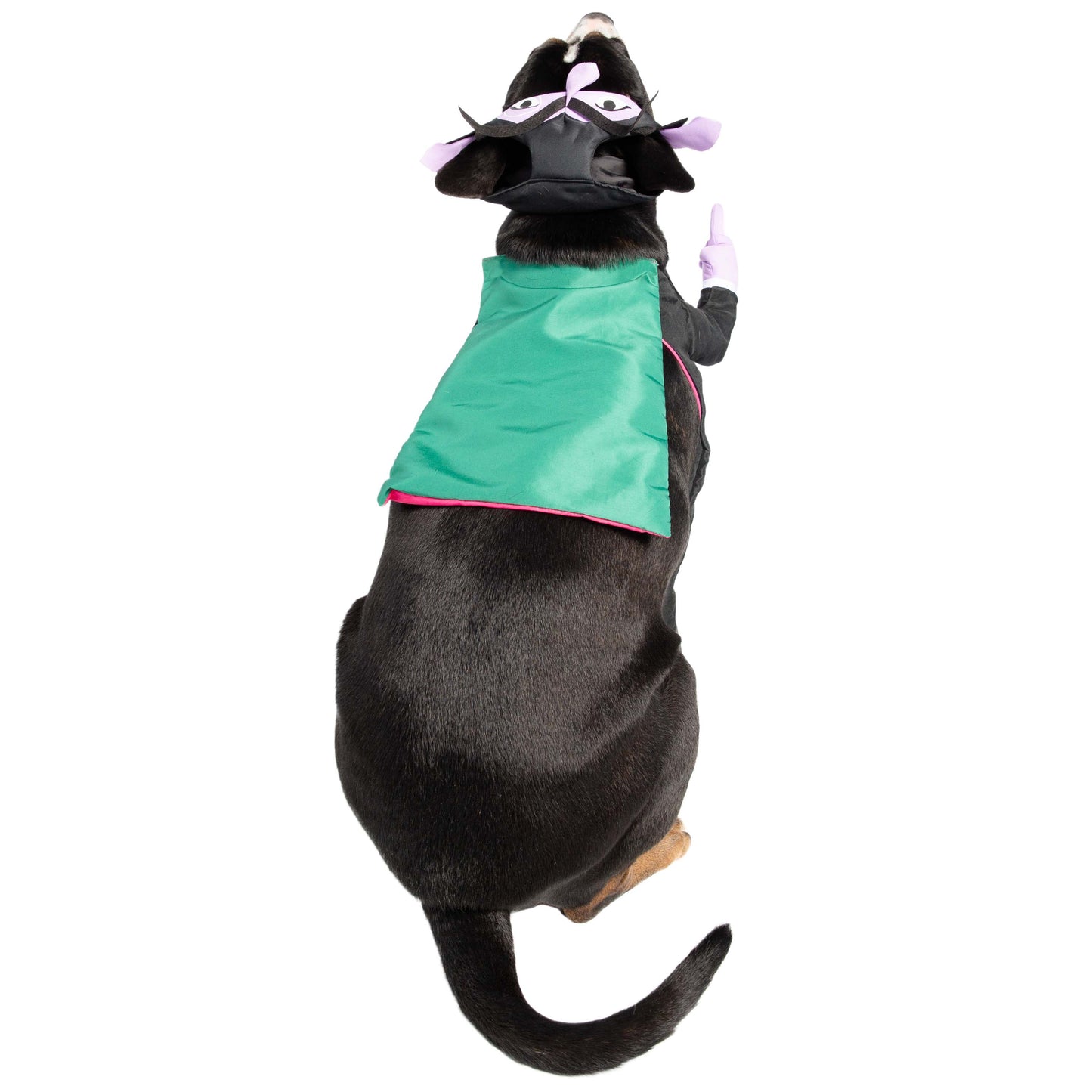 sesame street the count halloween costume