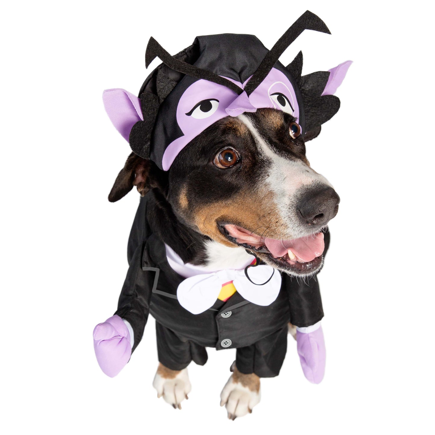 sesame street the count pet costume