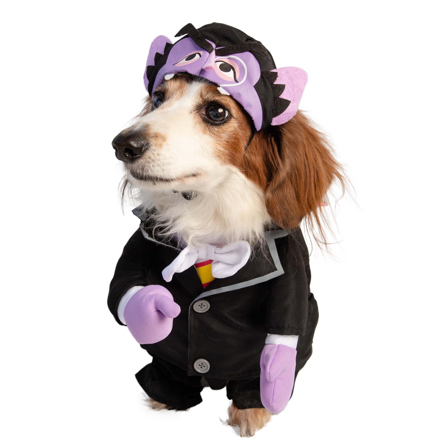 the count sesame street pet clothes