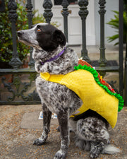 taco costume for dog