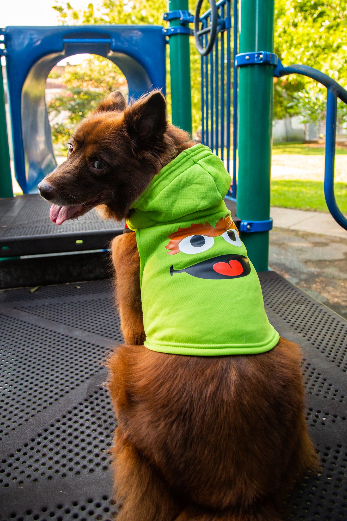 Sesame Street Pet Hoodies