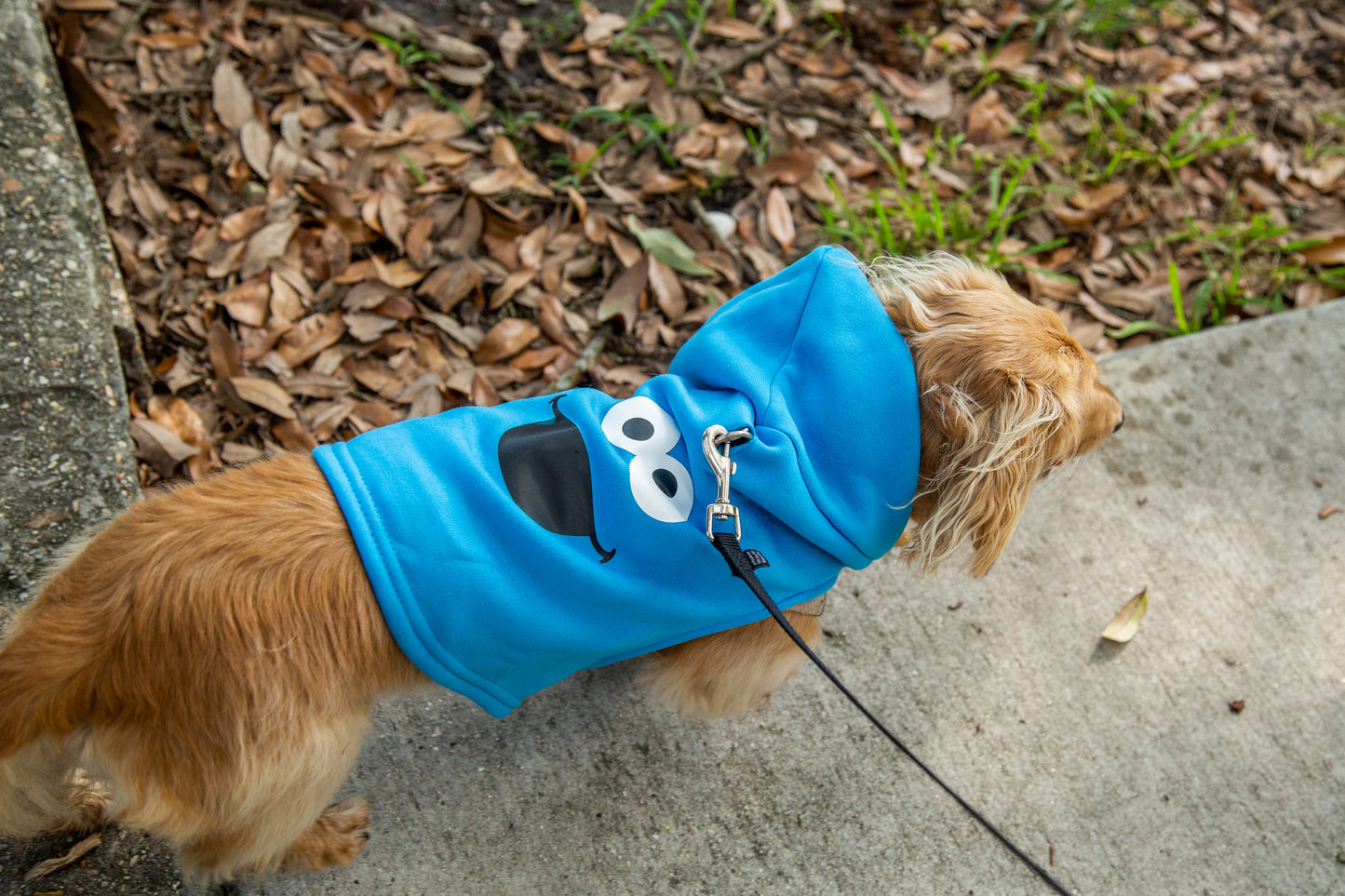 Sesame Street Pet Hoodies