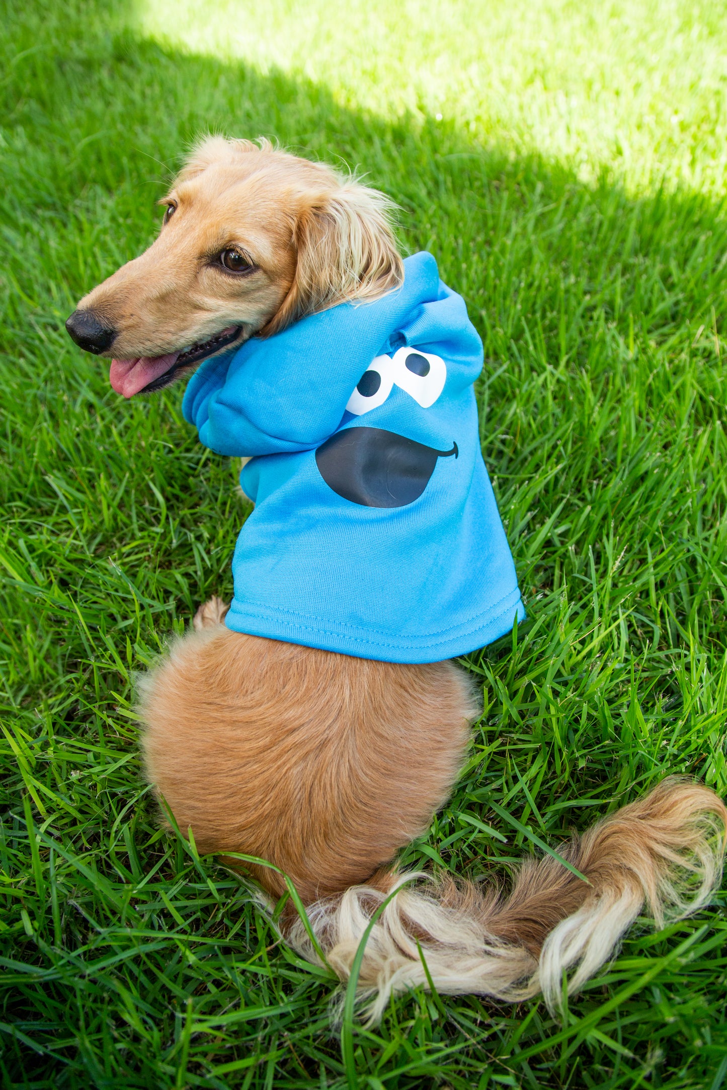 Sesame Street Pet Hoodies