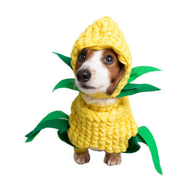 Sneak Peek: Fall Pet Costume