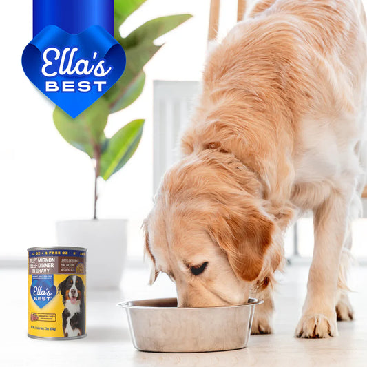 Ingredient Spotlight: Filet Mignon Recipes Explained