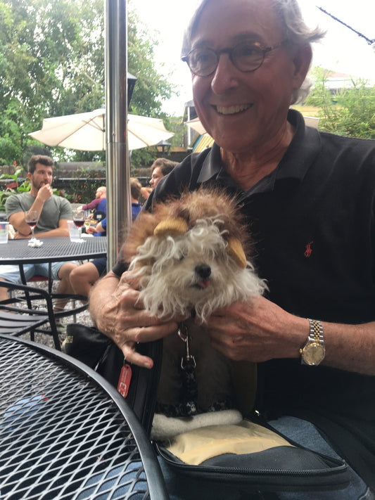 A Giant Celebrity's Guide to Dressing Your Dog for the Emmy Awards