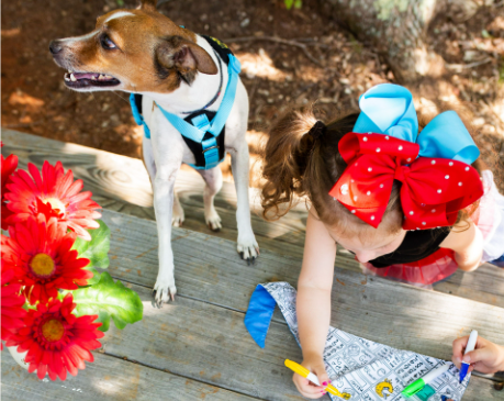 Craft, Connect, and Wag Tails: A Family Activity That Includes Everyone