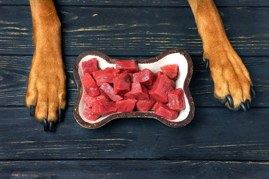 Ingredient Spotlight: Why Real Beef Matters in Dog Nutrition and Diet