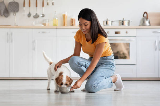 Essential Nutrients Every Dog Needs in Their Diet