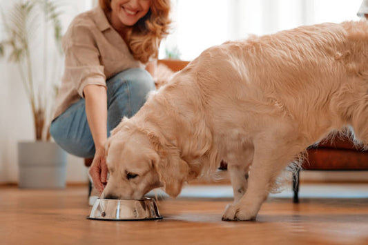 Affordable Premium Dog Food: Myth or Reality?