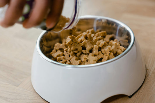Mixing Wet and Dry Dog Food for Balanced Nutrition