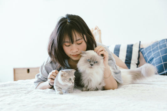 The Morning Routine That Makes Your Cat Happier (and You Too)
