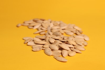 Grain-Free vs. Grain-Inclusive Cat Treats: Key Nutritional Differences and Health Benefits for Your Feline Friend
