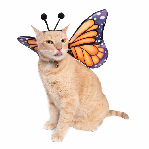 A butterfly-themed harness attachment costume for cats.