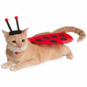 Ladybug wing harness with a ladybug black antenna hat on cat