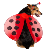 Ladybug Hat and Wings Dog Costume
