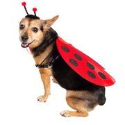 Ladybug wing harness with a ladybug black antenna hat on dog