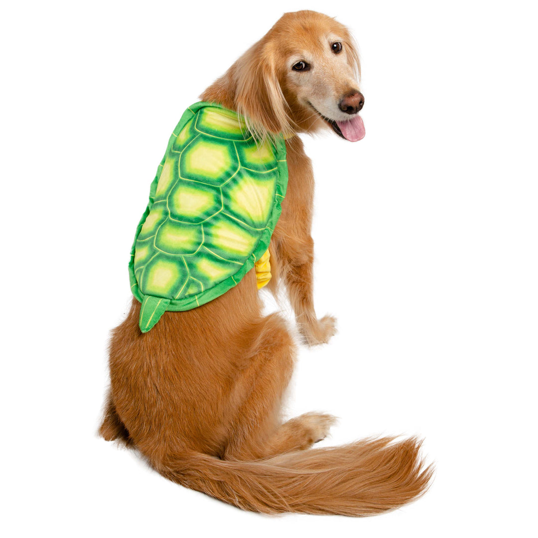 Dog Turtle Costume Pug In Turtle Costume Stock Photo Download Image