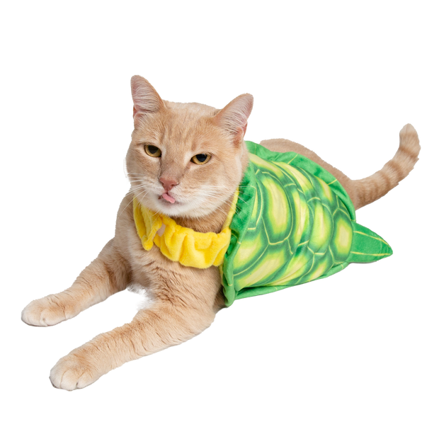 Turtle Cat Costume
