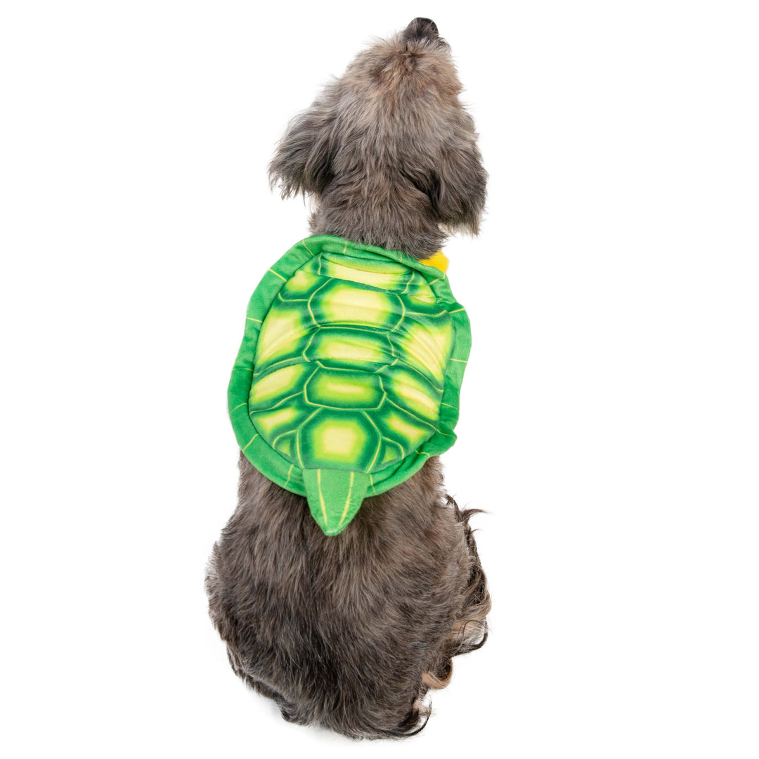 Dog Turtle Costume Pug In Turtle Costume Stock Photo Download Image