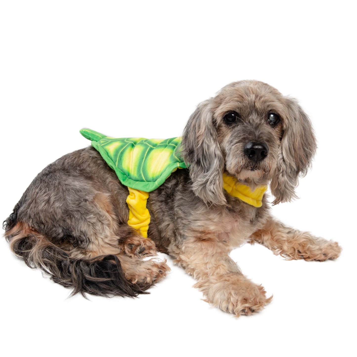 Turtle Dog Costume
