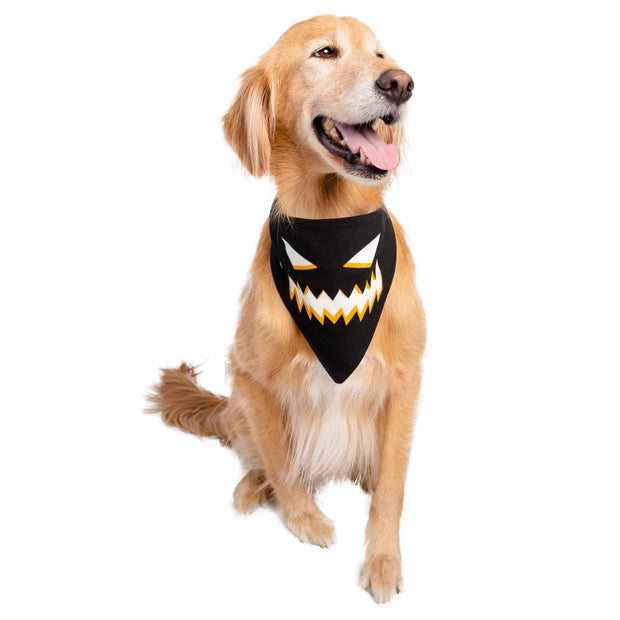 Glow-in-the-Dark Jack-O-Lantern Bandana