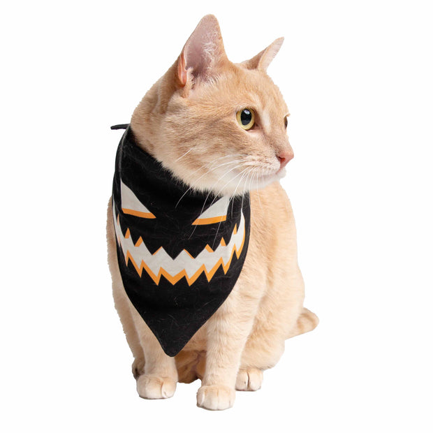 Glow-in-the-Dark Jack-O-Lantern Bandana