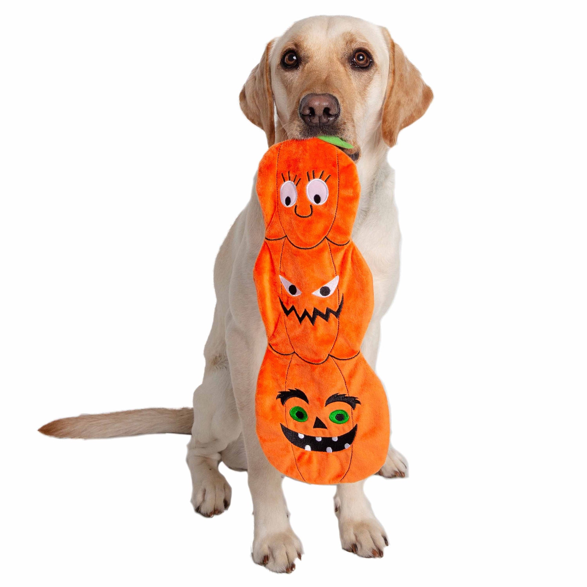Large Flattie Pumpkin Dog Toy – Pet Krewe - Main Image