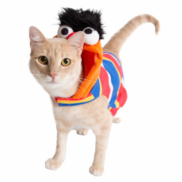Sesame Street Ernie Cat Hoodie