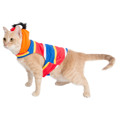 Sesame Street Ernie Cat Hoodie