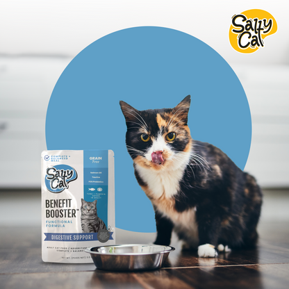 Salty Cat Benefit Booster Digestive Support Tuna & Pumpkin Entrée in Gravy Functional Wet Cat Food for Cats, 40g Pouch