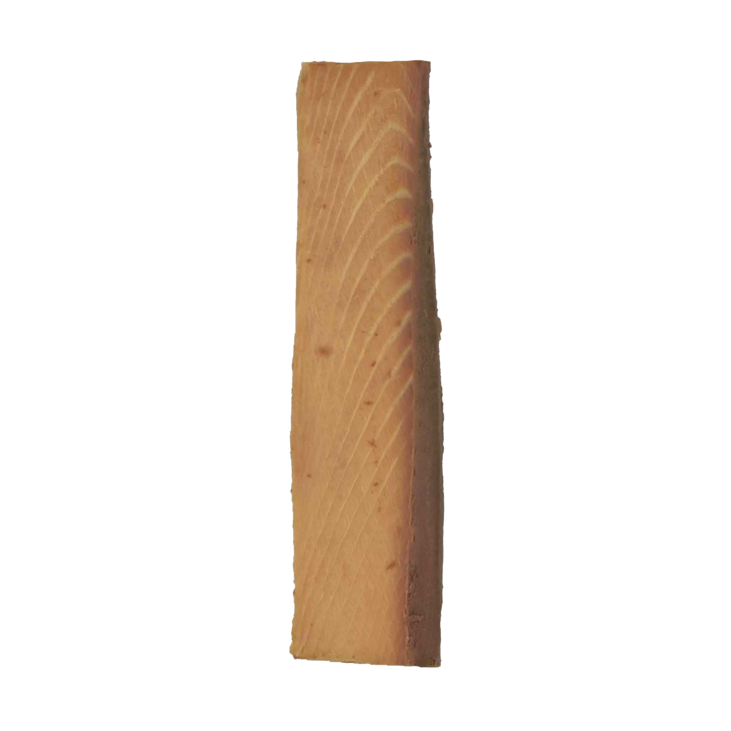 Salty Cat Gourmet Natural Tuna Filet Treat for Cats, 30g Pouch