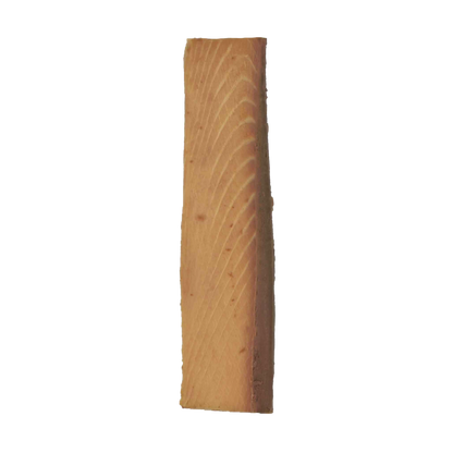 Salty Cat Gourmet Natural Tuna Filet Treat for Cats, 30g Pouch