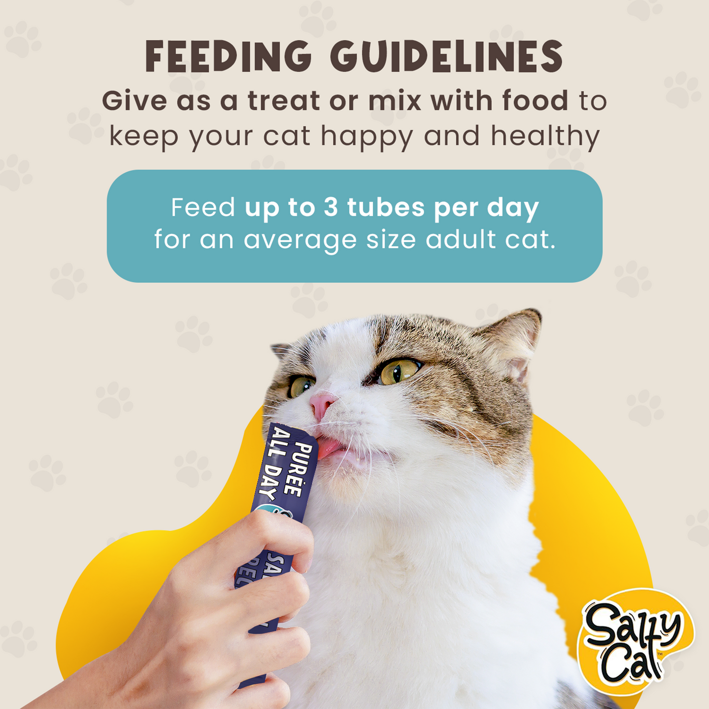 Salty Cat Purée All Day Natural Creamy Salmon Tube Treat for Cats, 15g Tube