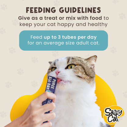 Salty Cat Purée All Day Natural Creamy Salmon Tube Treat for Cats, 15g Tube