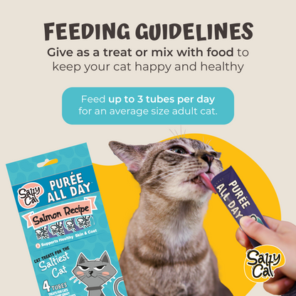 Salty Cat Purée All Day Natural Creamy Salmon Tube Treat for Cats, 15g Tube