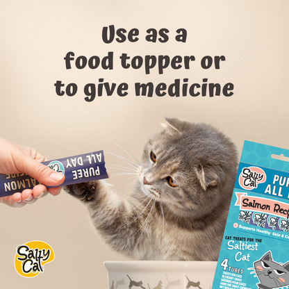 Salty Cat Purée All Day Natural Creamy Salmon Tube Treat for Cats, 15g Tube