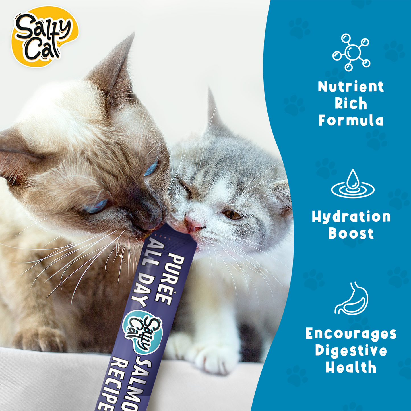 Salty Cat Purée All Day Natural Creamy Salmon Tube Treat for Cats, 15g Tube