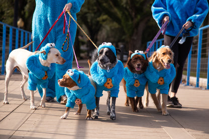cookie monster dog costume
