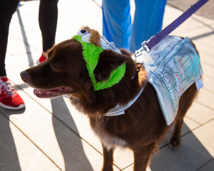 oscar the grouch dog costume