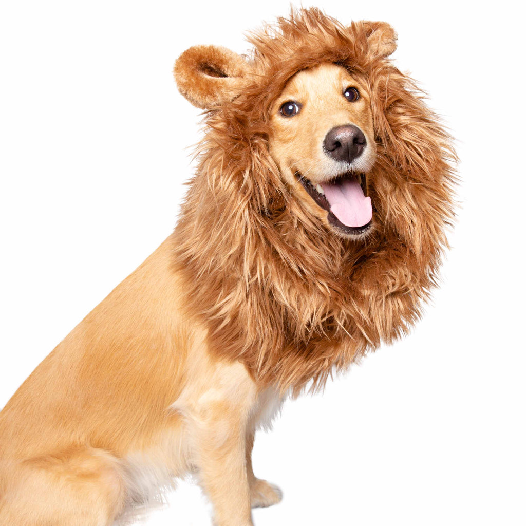 Pet Krewe Large Dog Lion Mane Halloween Costume – Fits Neck Size 13”- 32”-  Lion Mane for Small Dogs – Ideal for Halloween, Dog Birthday, Dog Cosplay
