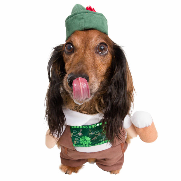 Dachsund in a traditional German Oktoberfest costume with a hat