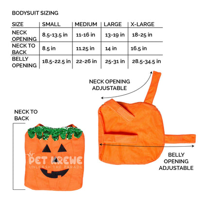Halloween Pumpkin Cat Costume